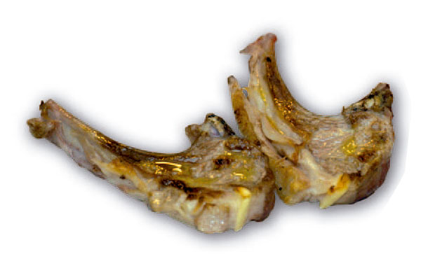 cordero-cit-ciudad-rodrigo